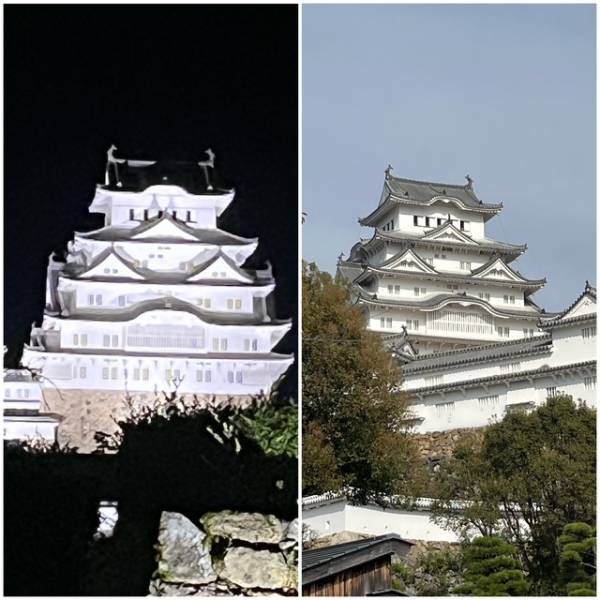 明日出勤します🕊️