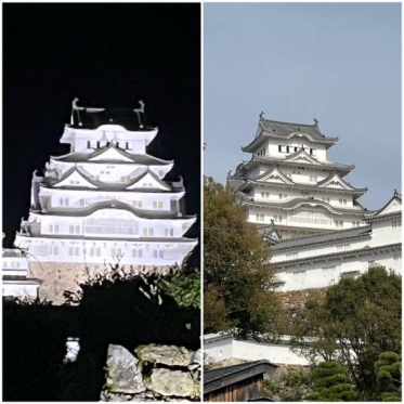 明日出勤します🕊️