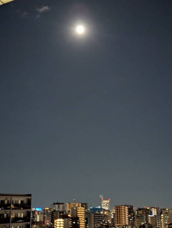 こんばんは(*´∀｀*)