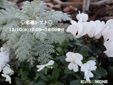 来週シフトのお知らせ