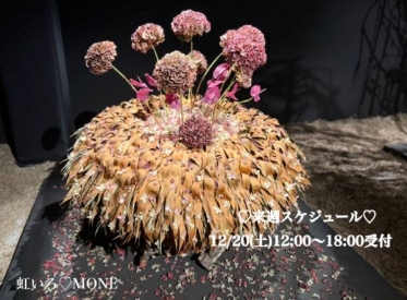 今週のお礼♡来週スケジュール