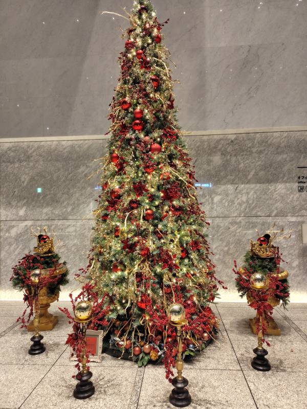 もうすぐクリスマス🎄