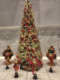 もうすぐクリスマス🎄