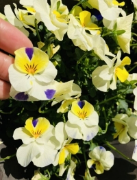 年内にお会い出来て🫶