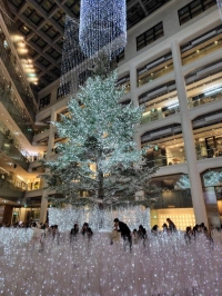 さ、寒い🥶ですね