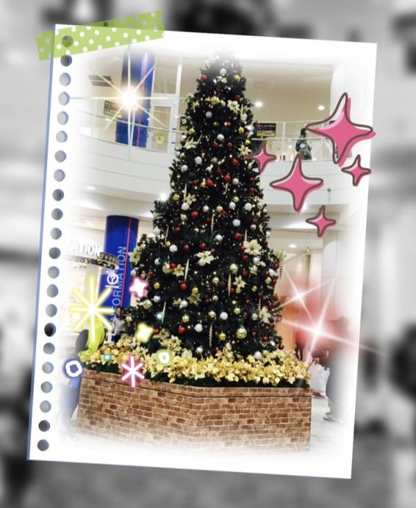 出勤致しました😊🎄💖