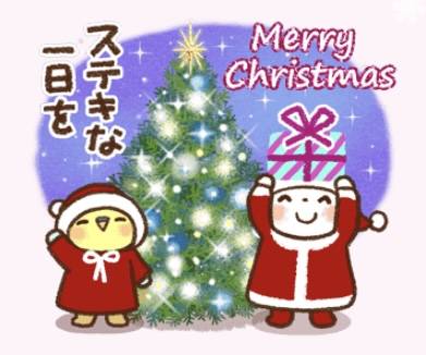 Merry Christmas🎄✨