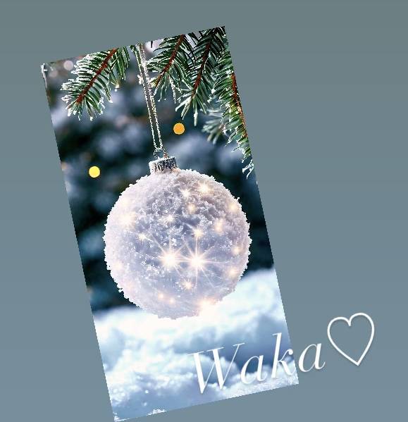 メリークリスマス🎄