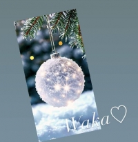 メリークリスマス🎄