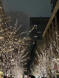 本年も大変お世話になりました🙇‍♀️