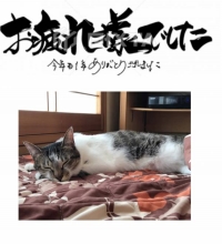 2025年ありがとうございます🙇‍♀️