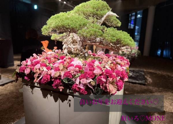 2025年ありがとうございました♡