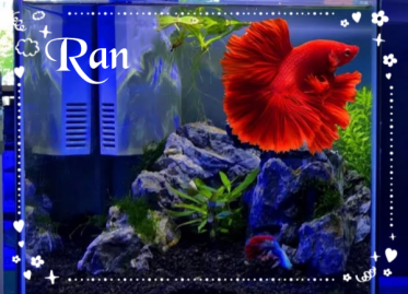 🌈出勤しました🌈