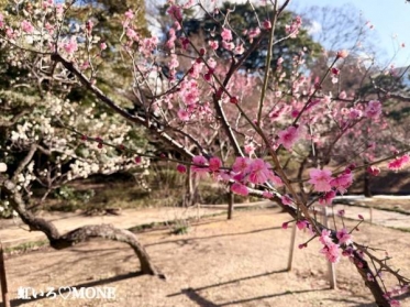 梅香る庭園へ