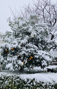 セラピスト冥利に尽きます☺️