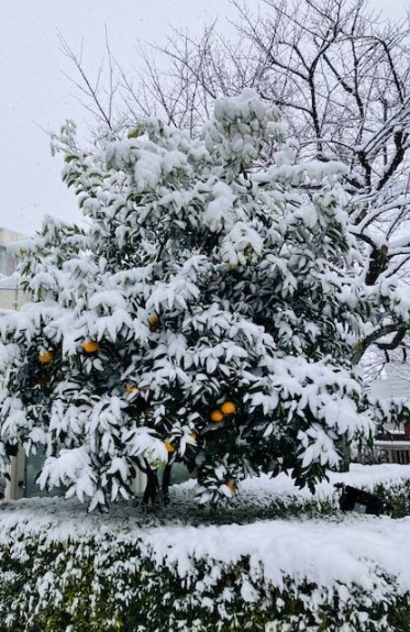 セラピスト冥利に尽きます☺️