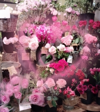 人生は、薔薇色。