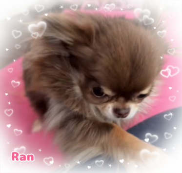 🌈出勤してます🌈