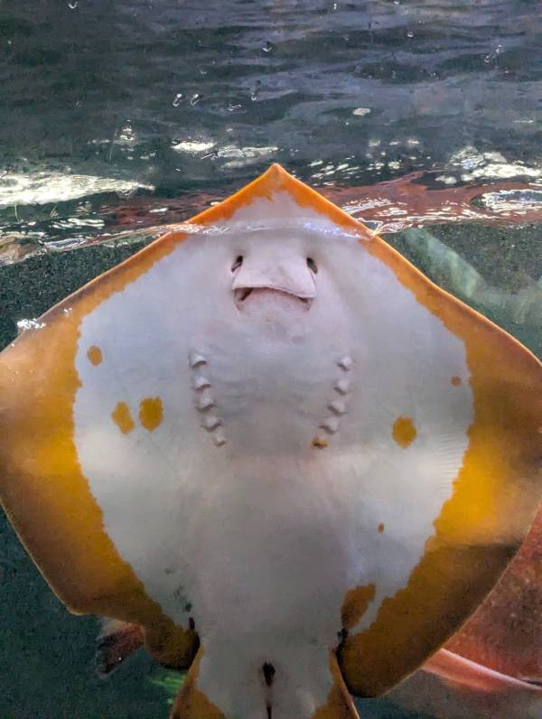 こんばんは(*´∀｀*)