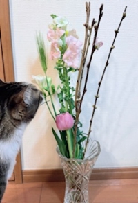 充電がなくなり遅くなりました