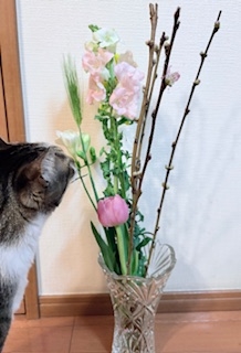 充電がなくなり遅くなりました