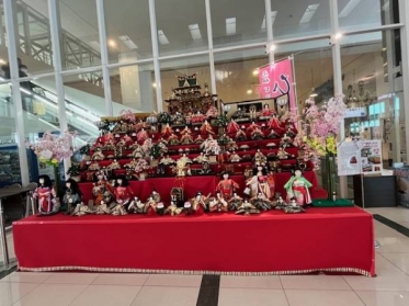 夜分に失礼します🙇‍♀️