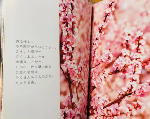 明日15:00〜出勤致します☺️🌸