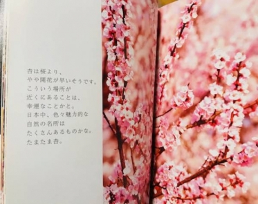 明日15:00〜出勤致します☺️🌸