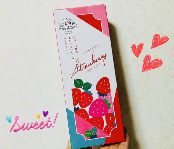 努力は人を裏切らないと言うけれど