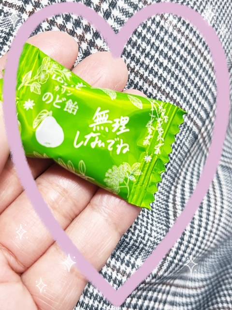 おはようございます🕊️