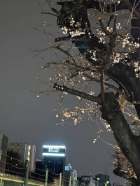 おはようございます😊