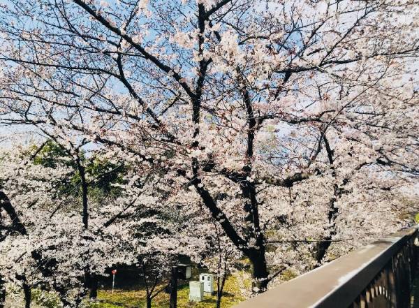 出勤しました🌈