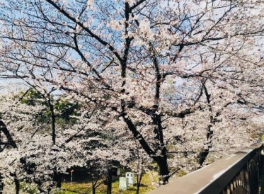 出勤しました🌈