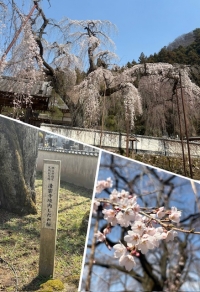 おはようございます😃