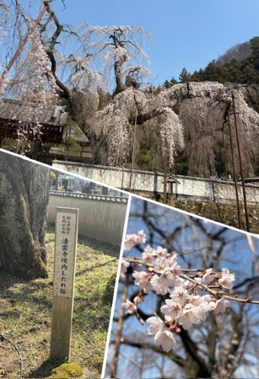 おはようございます😃