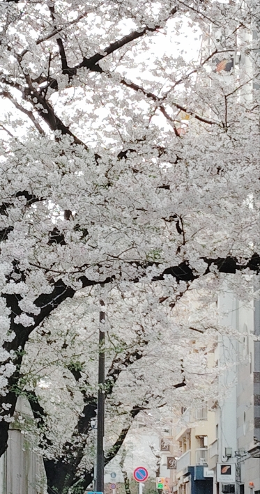 前進、また、前進(^^♪