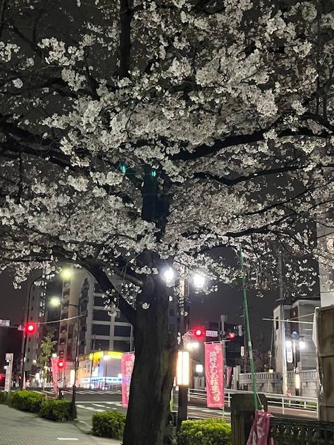 おはようございます☀️