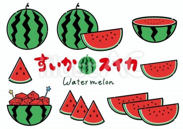 今年もやってきました！🍉