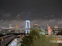 こんばんは(*^▽^*)