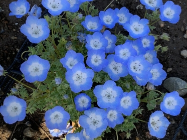 おはようございます☀