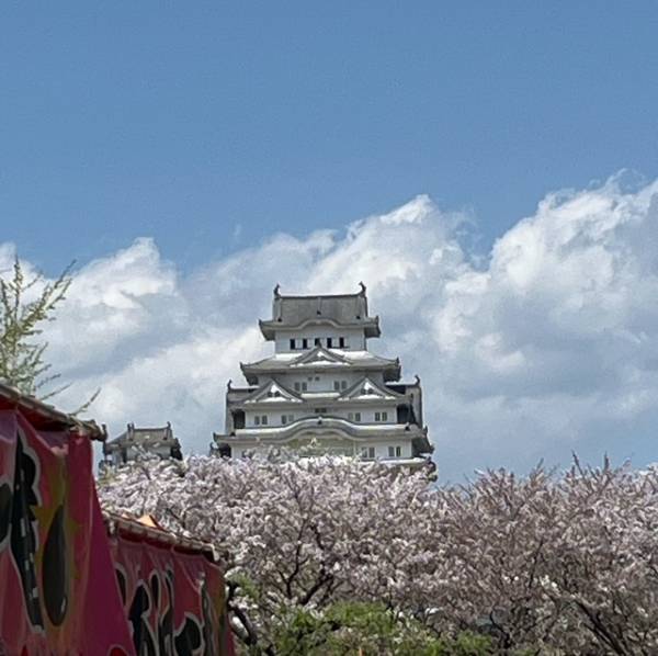 翌週の予定です🕊️