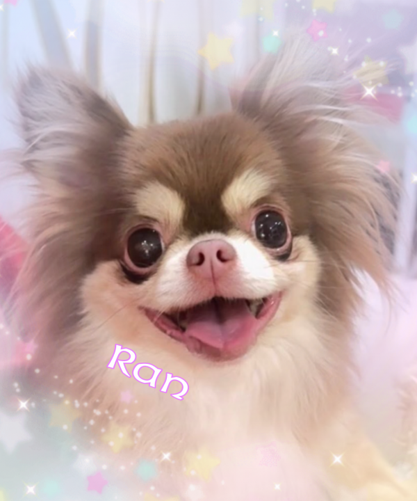 🌈出勤しました🌈