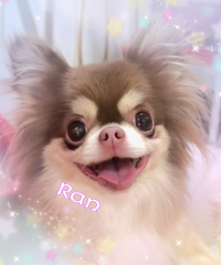 🌈出勤しました🌈