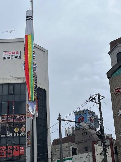 お次は5/5です🎏