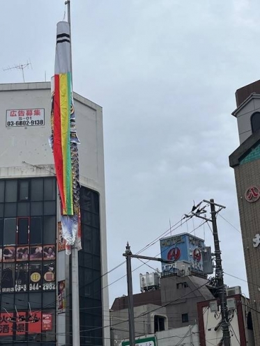 お次は5/5です🎏