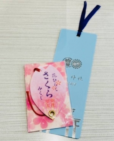 さくらみくじ🌸