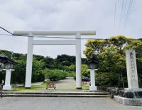さくら