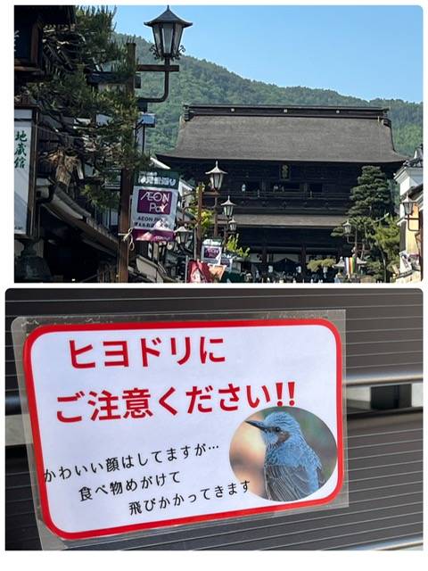 こんにちは☔️