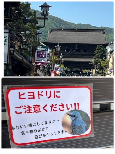 こんにちは☔️