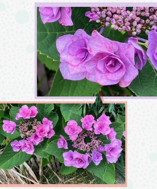 5月🌿最後の出勤です😊🌈
